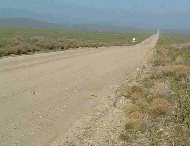 Carrizo Plains has a hot dry summer and a cold dry sunny winter. The climate and soil lends to the shadscale scrub plant community.