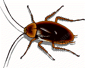 I hope the weeds are begging to bug you and the natives are beginning to sound good.