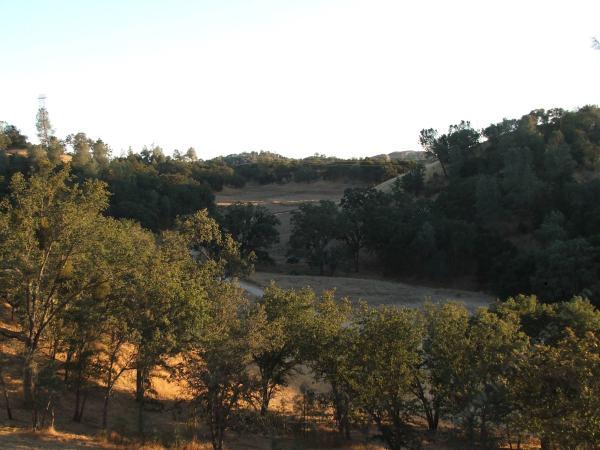Any flat areas have been cleared of trees for Agricultural purposes leaving trees only on the steep areas.
