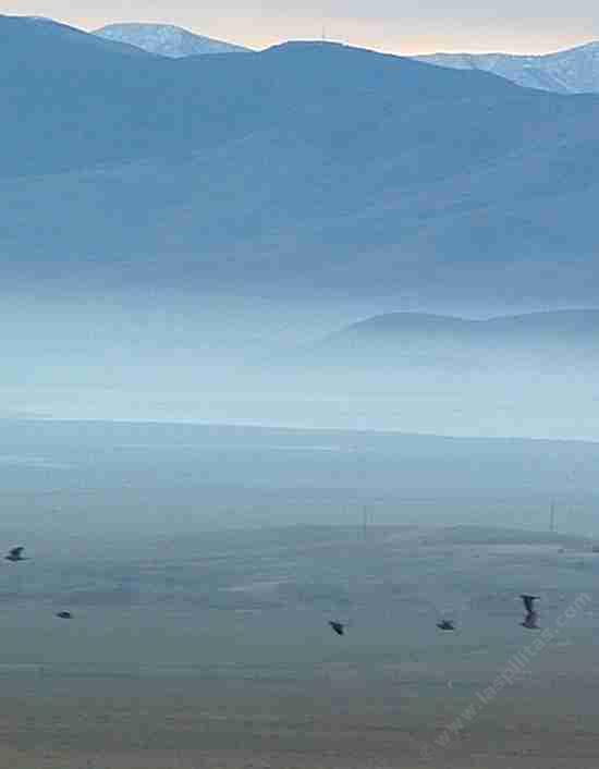 Carrizo Plains was a large producer of wheat in the early 1900's.