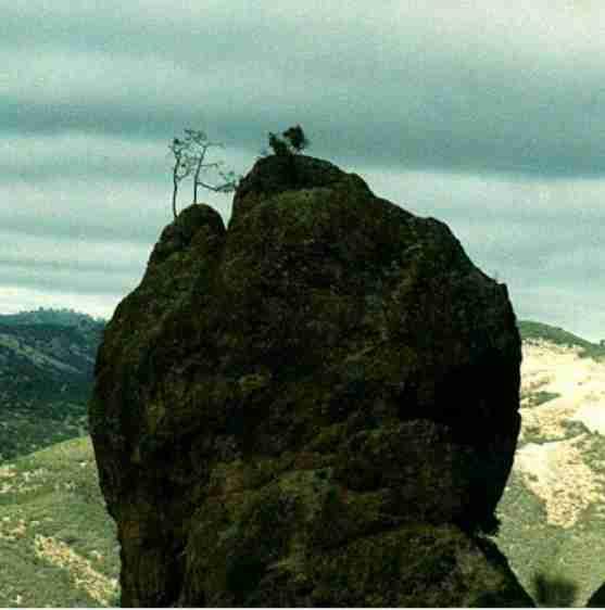 some chaparral sites can be very harsh