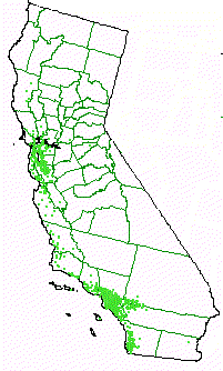 The Coastal Sage Scrub plant community of California exists along the coast from about San Francisco, and Lafayette down through about San Diego (San Diego has its own Baja flavor) and inland as far as Riverside in southern California.