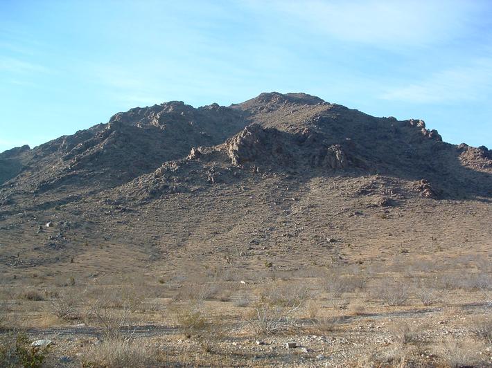 The wind makes many of these areas very difficult places for plants and animals to survive. It increases desiccation  and wind chill