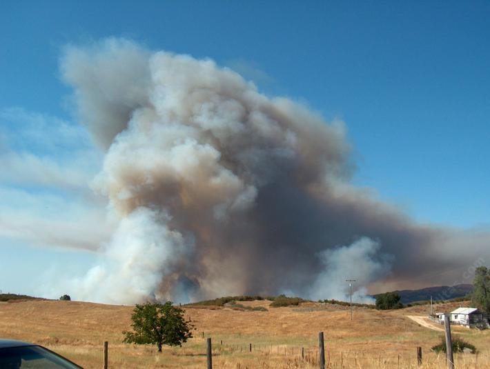 Looking across chaparral into the smoke of a fire.