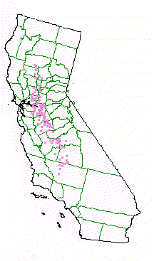 This is a map of the towns that may claim to be in a grassland. They may have actually been underwater or in a woodland, instead of a grassland.