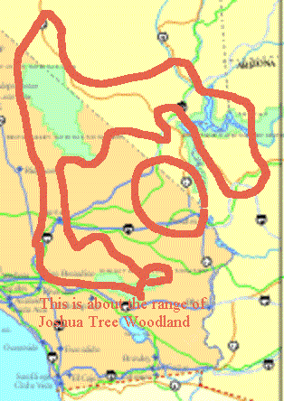 Map of Joshua Tree Woodland