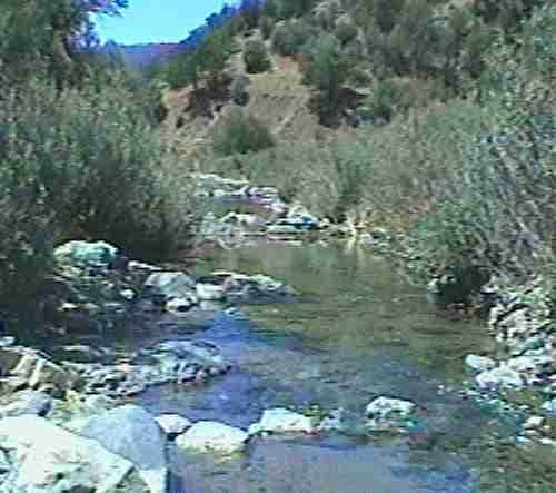 this beautiful area near New Idra has high levels of toxic elements including. 
