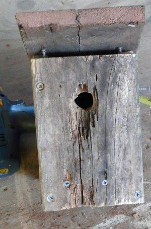The top of the bird house needs to be a loose fit.