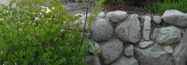 This is a cemented retaining wall about three foot tall.