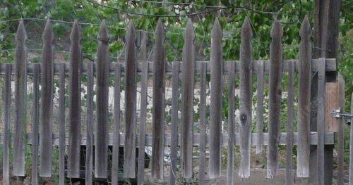 By throwing up(looks like it) wire behind a picket fence we made a dog fence. Doesn't look that bad during the day. Place has gone to the dog.