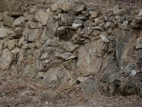 This dry stack wall was done by a guy living in a tree, if he can do it, so can you.