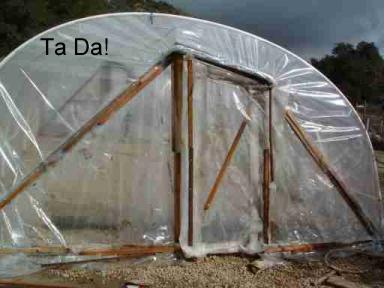Ta Da! A small little greenhouse Ta Da! A small little greenhouse
