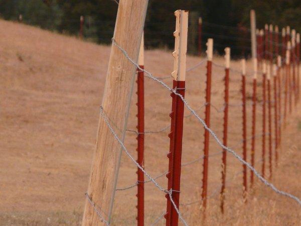 Even a little bend can pull a fence over if it's not braced. These posts are fouteen foot apart.