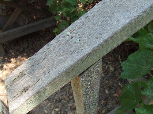 This handrail is probably 60-80 years old, but it commonly comes off in dry weather. A metal clip inside the rail with screws will keep it on.