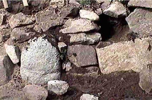 Pick out one of the rocks and clean a hole out for plant