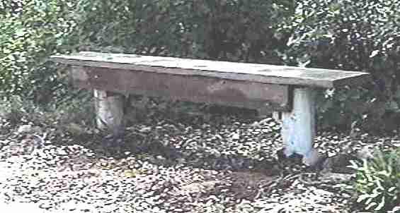 The finished product. Garden benches get better looking as they age.