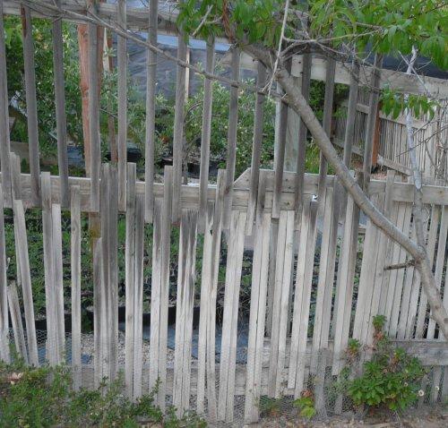 Scraps of lath or 4X8 lath panels can make a decent fence if tacked to wood runners.