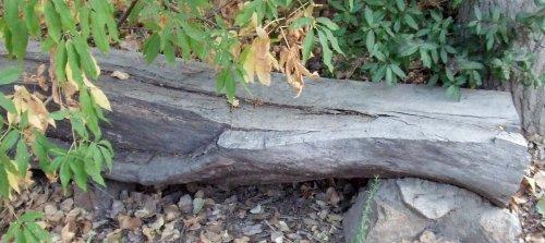Wooden bench on rock pillar.
