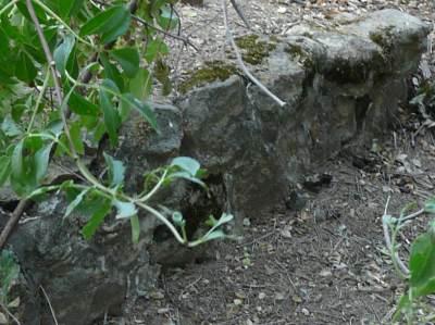 The other end of an old wall  probably build in the 1930's.