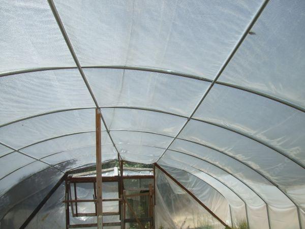 Bracing and end walls of a 30 foot wide greenhouse.