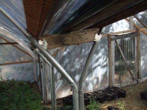 Here two greenhouse are attached together to make one big greenhouse you can move between.