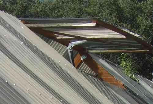 Top vent in a polycarbonate greenhouse.