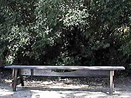 Put the bench in the garden and let the flowers grow over it.