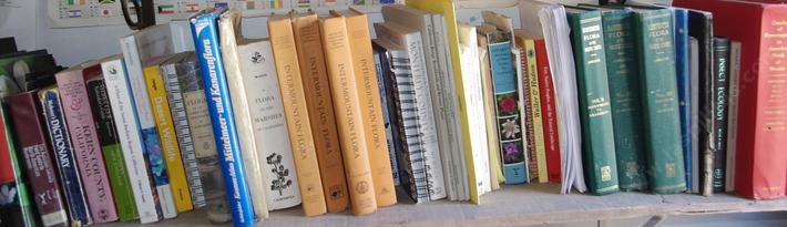 Some of our books and references.