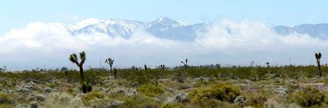 The melting snow was creating fog along the east side of the transverse ranges in the Joshua Tree Woodland north of Lancaster. - grid24_12