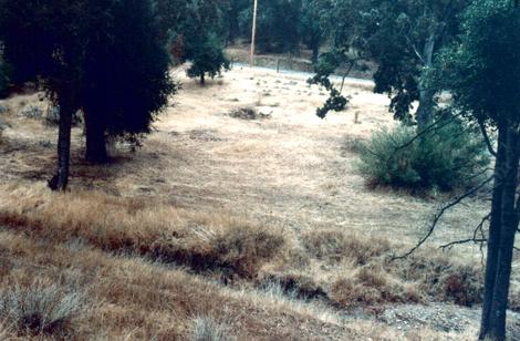 One of the fields at Las pilitas nursery in 1992 - grid24_12