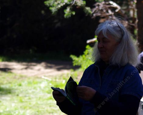 Celeste Wilson up in the Sierras in 2011. Looking at a pine id booklet. Celeste got us into native plants in the early 1970's. - grid24_12