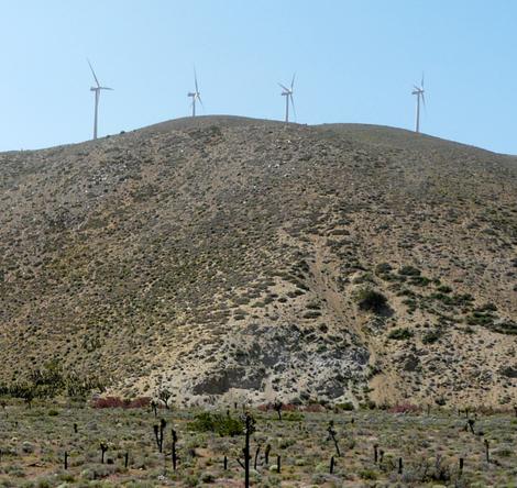The wind turbines out by Mojave. Notice the turbines are on the ridges not the valley. - grid24_12