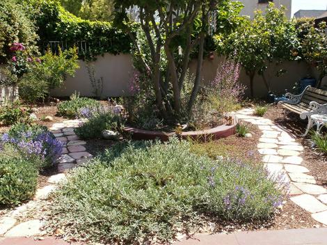 A Los Angeles native garden after 12 months. - grid24_12