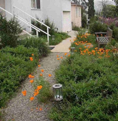 A native garden walkway in west Los Angeles - grid24_12