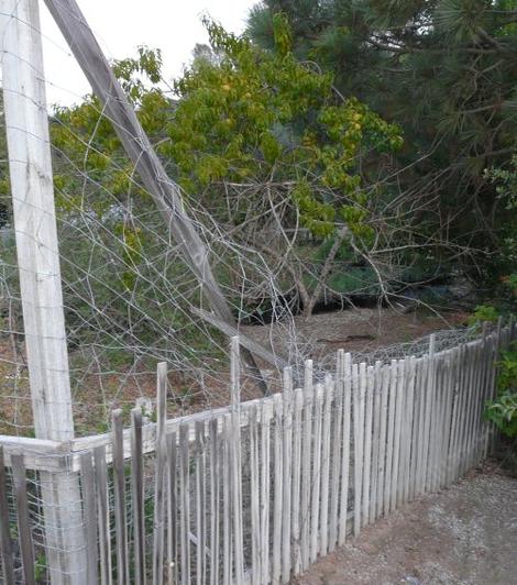 the deer broke the 2X4 at the top of this 8 foot fence and now it's a four foot fence - grid24_12
