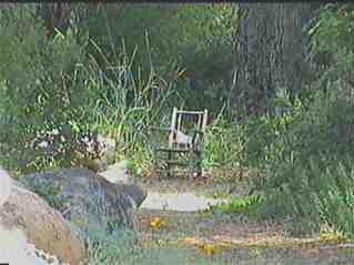 An old picture of life in a native garden. I wish I had time to seat in that chair. - grid24_12
