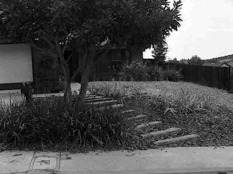 a before garden  photo on a Rubin job in 1998. Probably Poway in Southern California. - grid24_12