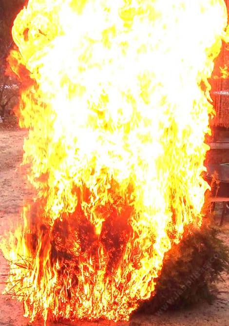 Light the Christmas Tree. People are terrified of 'brush' but they put highly flammable things in or around their house. - grid24_12
