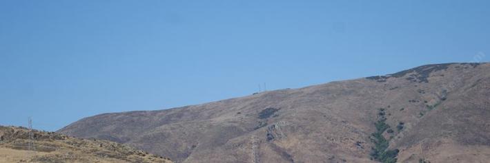 I always wondered why the hills around San Luis Obispo had little on them. I thought it was serpentine, but it is more likely serpentine and high boron. Only a few native plants can tolerate both. Once it burns it is very hard for the native plants to come back if weeds are present.