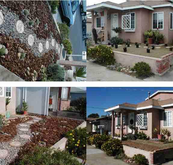 A little native plant landscaping in San Diego