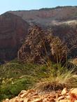 Alkali Sacaton along the rim in Zion National Park - grid24_24