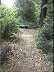 An old photo of a fragrant path. - grid24_3