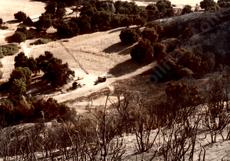 Las Pilitas Nursery after the 1979 fire before we got the first water tank up. - grid24_6