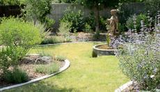 Buffalo grass with natives on the edges in a Bakersfield native garden. - grid24_6