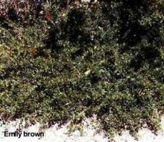 An old picture of Ceanothus gloriosus exaltatus Emily Brown - grid24_6