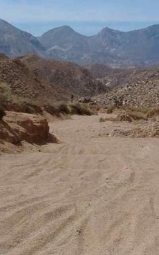 California can be very dry. Drought tolerant or resistant native plants are part of California's history. We been down some interesting roads. - grid24_6