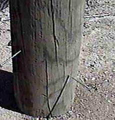nails in post before you put it in the dirt - grid24_6