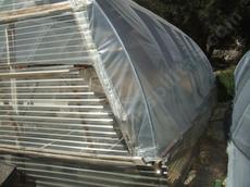Greenhouse sides can be of pvc, polycarbonate, fiberglass or poly. We've found the best was polycarbonate for the first couple of feet.  The rest of the greenhouse can be poly. Notice the polycarbonate vent. Greenhouses have to be vented. - grid24_6