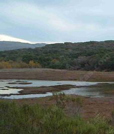 A coastal marsh is a great place for Song Sparrows - grid24_6