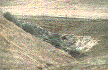 We got to plant this ravine in Carrizo Plains. - grid24_6
